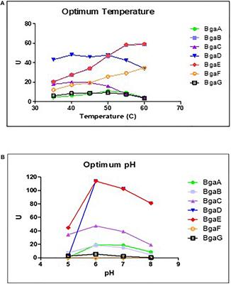 Infant-Associated Bifidobacterial β-Galactosidases and Their Ability to Synthesize Galacto-Oligosaccharides